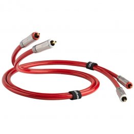 QED Reference Audio 40 RCA