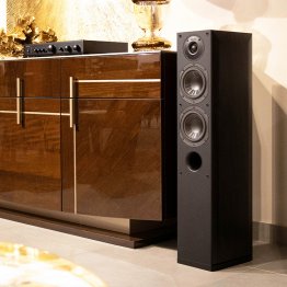 Indiana Line Nota 550X (la paire)