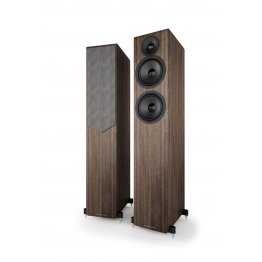 Acoustic Energy AE309² (la paire)