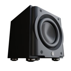 Perlisten R8s