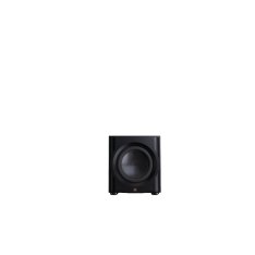 Perlisten R10s