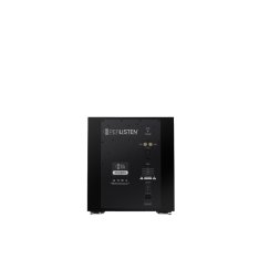 Perlisten R10s