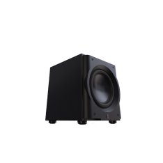 Perlisten R10s
