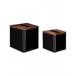 Martin Logan Balanced Force 212
